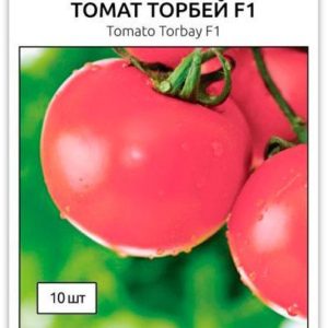 Семена томата Торбей F1, 10 семян Bejo Zaden (Голландия)