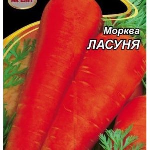 Семена моркови Ласуня