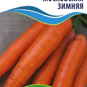 Семена моркови Московская Зимняя
