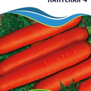 Семена моркови Нантская-4
