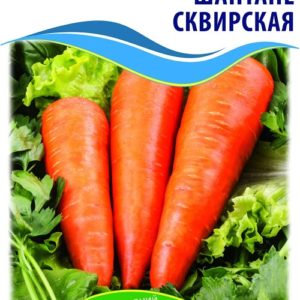 Семена моркови Шантане Сквирская
