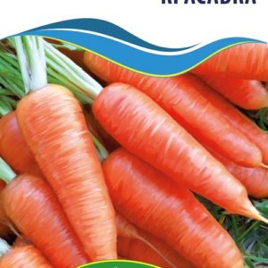 Семена моркови Красавка