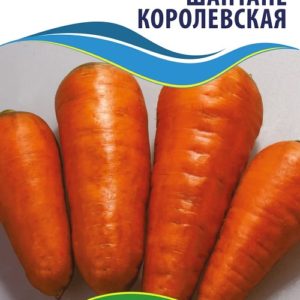 Семена моркови Шантане Королевская