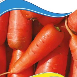 Семена моркови Шантане Ред Кор