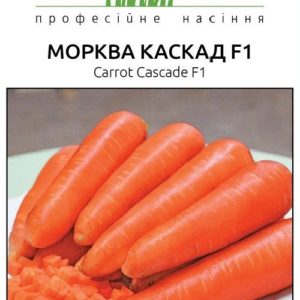 Семена моркови Каскад