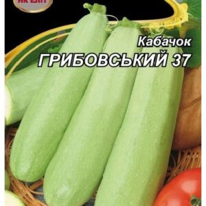Семена кабачка Грибовский-37