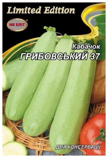 Семена кабачка Грибовский-37