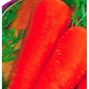 Семена моркови Ласуня