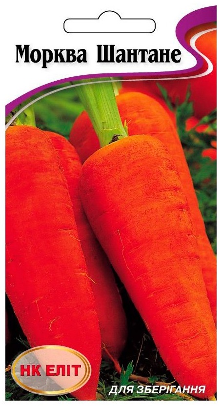 Семена моркови Шантане Сквирская