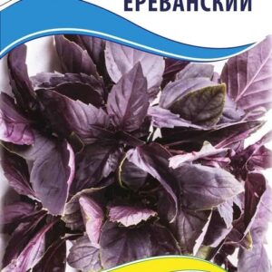 Семена базилика Фиолетовый Ереванский