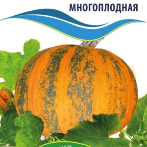 Семена тыквы Украинская Многоплодная