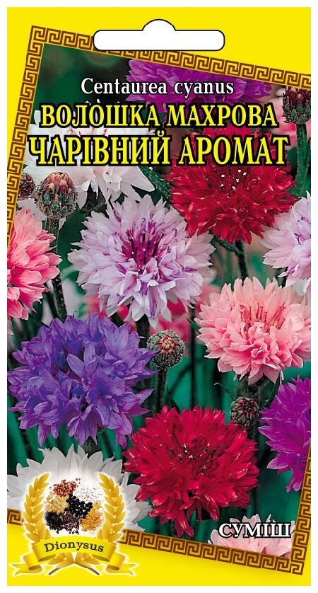 Семена цветов Василек Махровый Волшебный Аромат