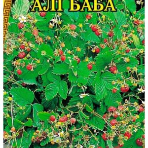 Семена земляники Али Баба