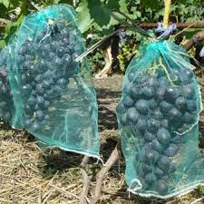 Сетка для защиты гроздей винограда от ос и птиц